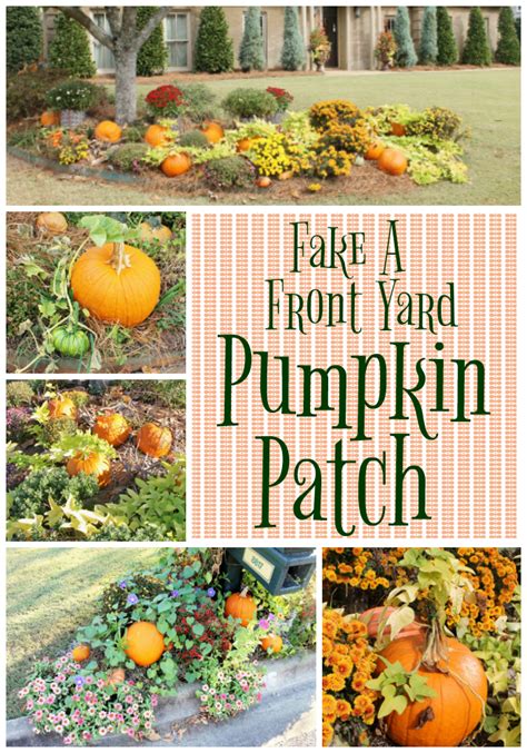 are pumpkin patches fake